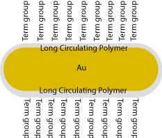 Functionalized Nanorod Block Invitro